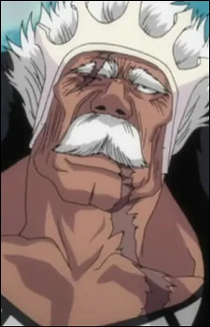 Baraggan Louisenbairn character portrait from Bleach