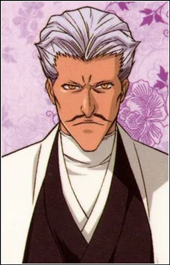 Chojiro Sasakibe character portrait from Bleach