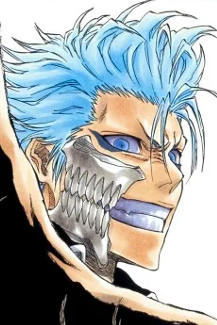 Grimmjow Jaegerjaquez character portrait from Bleach