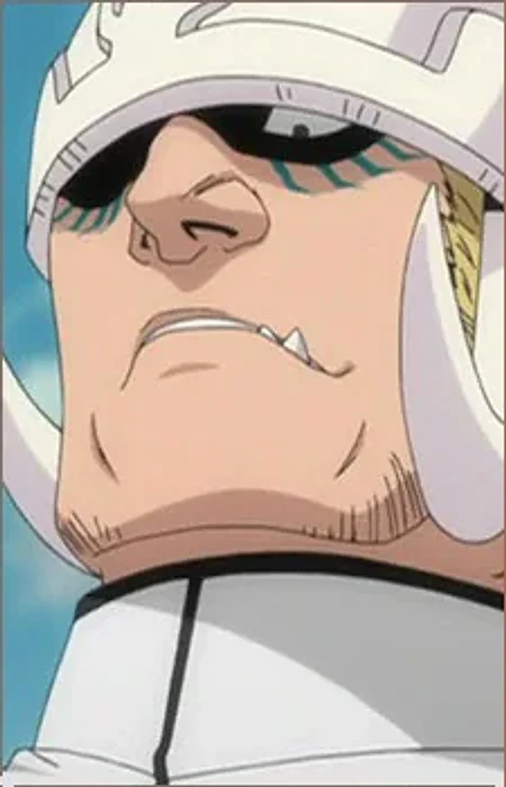 Nirgge Parduoc character portrait from Bleach