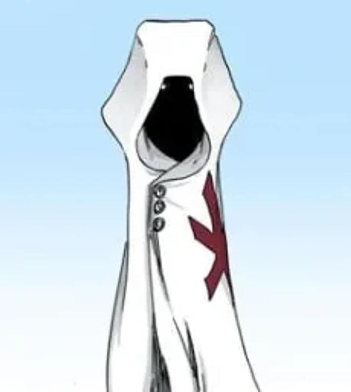 Pernida Parnkgjas character portrait from Bleach