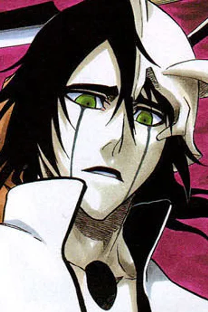 Ulquiorra Cifer character portrait from Bleach