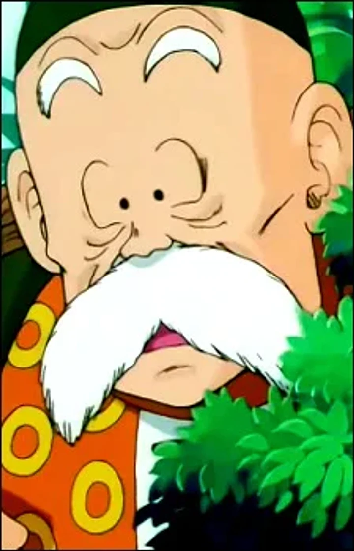 Son Gohan character portrait from Dragon Ball