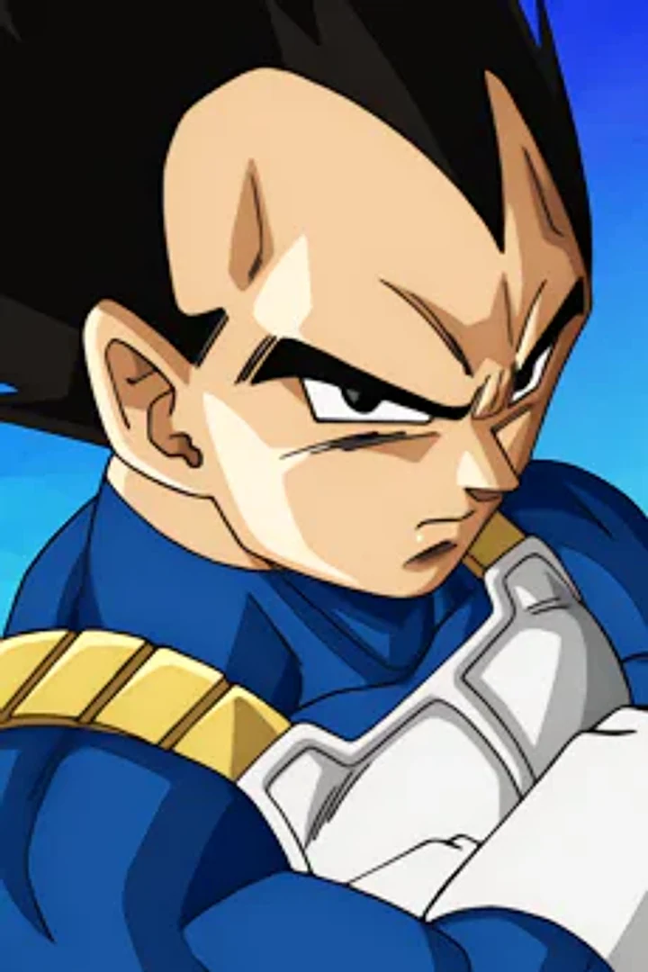Vegeta character portrait from Dragon Ball
