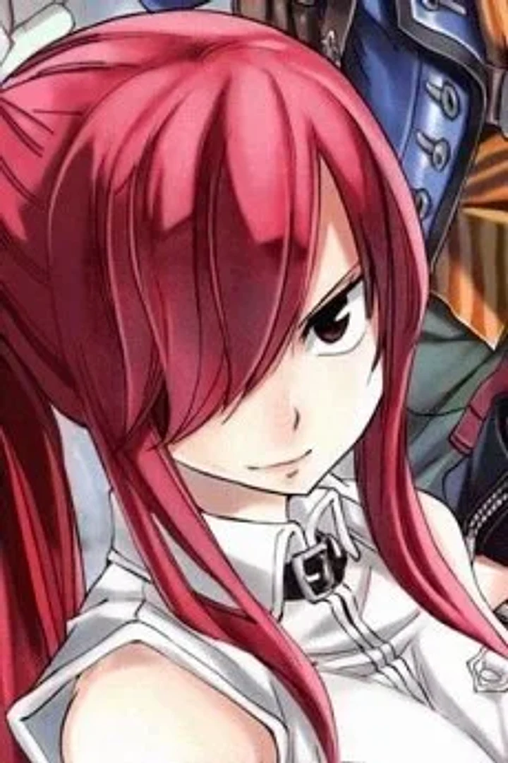 Erza Scarlet character portrait from Fairy Tail
