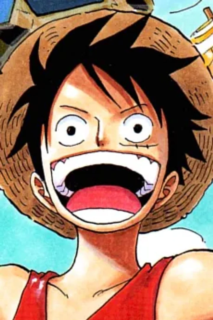 Monkey D. Luffy character portrait from One Piece