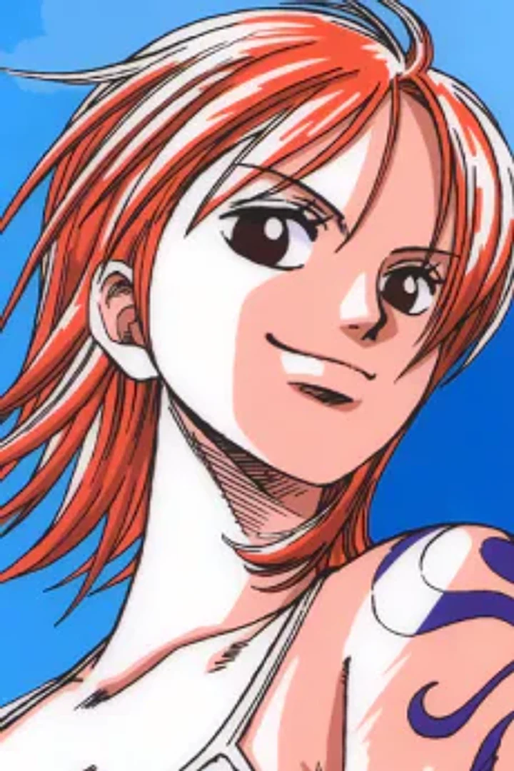 Nami character portrait from One Piece