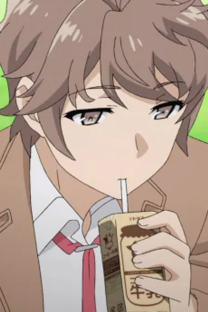 Sakuta Azusagawa character portrait from Rascal Does Not Dream