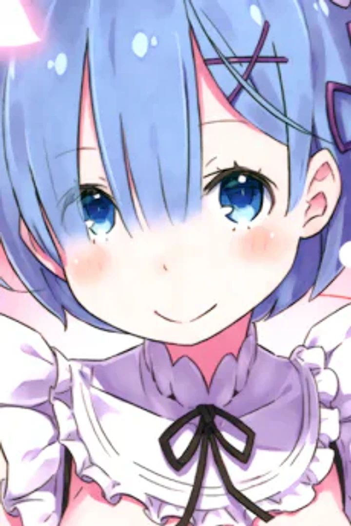 Rem character portrait from Re:Zero