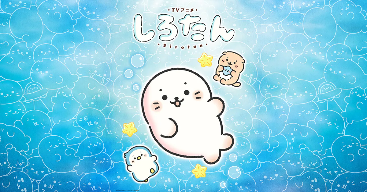 Official Shirotan television anime promotional visual
